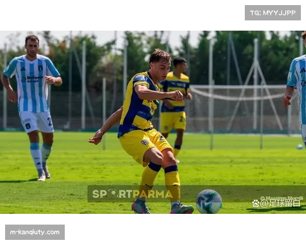 帕尔马33分领先降级区6分 奥里斯塔尼奥关键进球价值连城